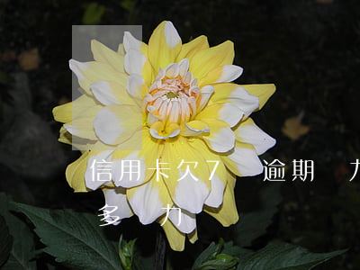 信用卡欠7萬逾期無力償還(信用卡逾期七萬多無力償還)