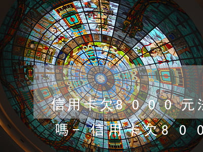 信用卡欠8000元法院會(huì)受理嗎-信用卡欠8000元法院會(huì)受理嗎知乎