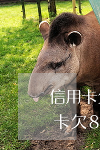 信用卡欠8000元無力償還怎么辦-信用卡欠8000元無力償還怎么辦呢