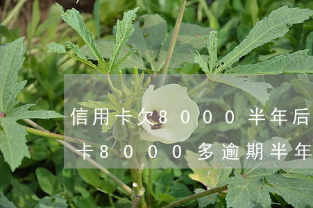 信用卡欠8000半年后还会怎样-欠信用卡8000多逾期半年会被起诉吗