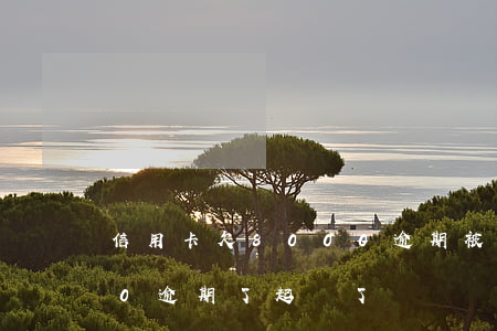 信用卡欠8000逾期被起訴(信用卡7000逾期了起訴了)