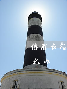 信用卡欠80万怎么办-信用卡欠80万怎么办