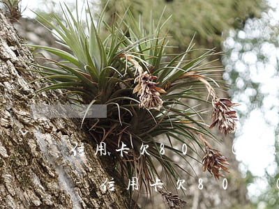 信用卡欠80萬(wàn)還不起了怎么辦-信用卡欠80萬(wàn)還不起了怎么辦理