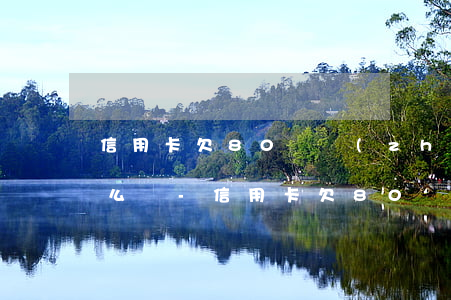 信用卡欠80萬轉(zhuǎn)不動了怎么辦-信用卡欠80萬轉(zhuǎn)不動了怎么辦理