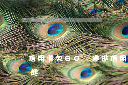 信用卡欠80萬追逃 信用卡80萬逾期還不起