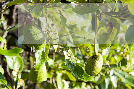 信用卡欠85000每月利息多少-信用卡欠85000每月利息多少錢