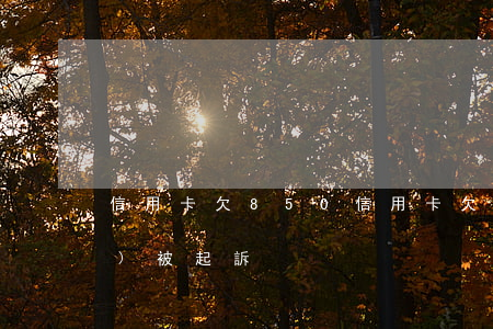 信用卡欠850(信用卡欠款多少會(huì)被起訴)