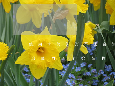 信用卡欠8万不还会怎么样(信用卡欠了八万没能力还了会怎样)