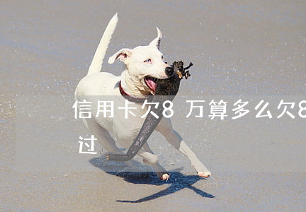 信用卡欠8万算多么(欠8万信用卡要怎样度过)
