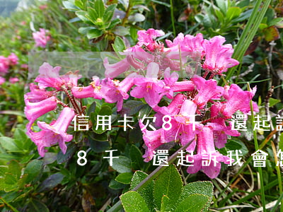 信用卡欠8千沒還起訴我會怎樣-信用卡欠8千沒還起訴我會怎樣處理