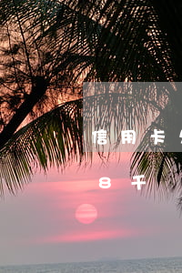 信用卡欠8千還了5千還剩3千-信用卡欠8千還了5千還剩3千怎么辦