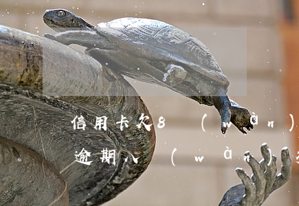 信用卡欠8萬(wàn)不還怎么辦(信用卡逾期八萬(wàn)多,現(xiàn)在還不上怎么辦)