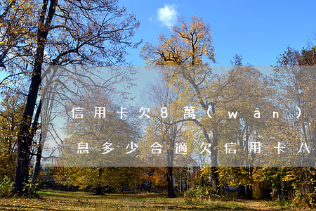信用卡欠8萬(wàn)每個(gè)月利息多少合適 欠信用卡八萬(wàn)多,每個(gè)月都還一千多,銀行會(huì)不會(huì)起訴