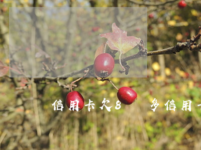信用卡欠8萬多(信用卡欠8萬多久能還上)