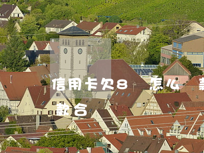 信用卡欠8萬怎么還款(信用卡欠8萬怎么還款合適)