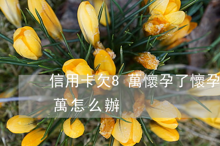 信用卡欠8萬懷孕了(懷孕了信用卡欠了30萬怎么辦)