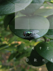 信用卡欠8萬最低還款-信用卡欠8萬最低還款利息多少