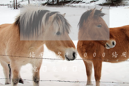 信用卡欠90000(信用卡欠9000元法院會受理嗎)