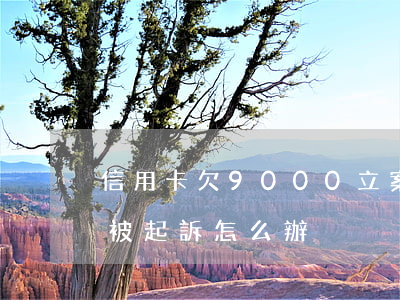 信用卡欠9000立案-欠信用卡9000被起訴怎么辦