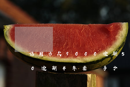 信用卡欠9000逾期5個月(信用卡5000逾期半年要還多少)