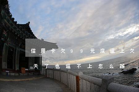信用卡欠99元沒還上(欠信用卡逾期90多天了也還不上怎么辦?)
