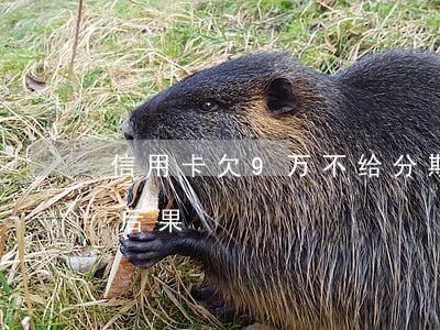 信用卡欠9万不给分期(欠9万信用卡是什么后果)