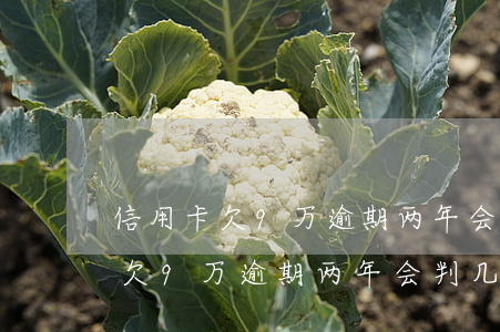 信用卡欠9万逾期两年会判几年呢-信用卡欠9万逾期两年会判几年呢怎么办