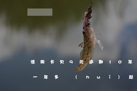 信用卡欠9元逾期10年(信用卡欠九千逾期一年多會(huì)起訴嗎)