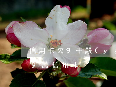 信用卡欠9千嚴(yán)重逾期后果(欠了9萬信用卡)