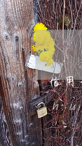 信用卡欠9千還款一千會(huì)不會(huì)逾期-信用卡欠9千還款一千會(huì)不會(huì)逾期呢