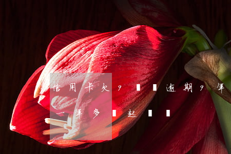 信用卡欠9塊錢逾期9年(信用卡欠九千逾期一年多會起訴嗎)