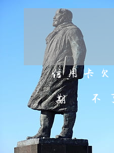 信用卡欠9萬不逾期 欠信用卡幾十萬全部逾期還不了怎么辦