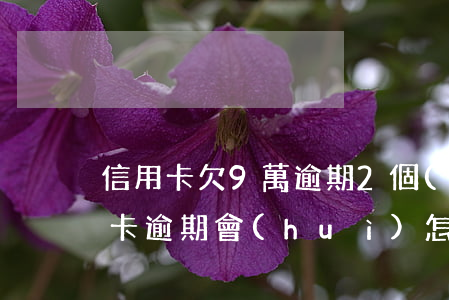 信用卡欠9萬逾期2個(gè)月(9萬信用卡逾期會(huì)怎么樣)
