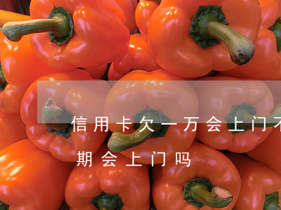 信用卡欠一万会上门不(信用卡10000逾期会上门吗)