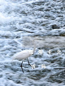 信用卡欠一万会起诉么 欠信用卡一万多会起诉吗