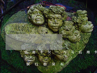 信用卡欠一万元(信用卡欠一万元四年了没还银行也没有)
