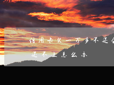 信用卡欠一万多不还会怎样(欠信用卡一万元还不上怎么办)