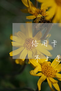信用卡欠一万让还三万(欠信用卡一万块钱还不上怎么办)
