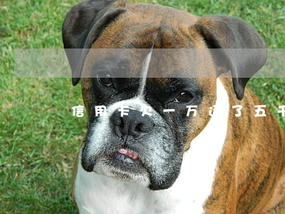 信用卡欠一万还了五千