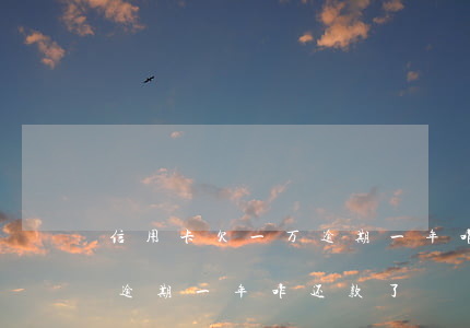 信用卡欠一万逾期一年咋还款(信用卡欠一万逾期一年咋还款了)