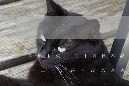 信用卡欠一二十万还不起怎么办-信用卡欠一二十万还不起怎么办呢