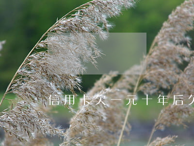信用卡欠一元十年后(欠信用卡十年了)