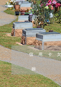 信用卡欠一元會怎么樣(欠信用卡一分錢怎么辦)
