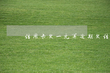 信用卡欠一元算逾期 欠信用卡幾千塊錢逾期