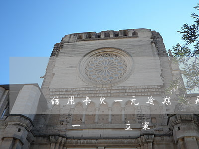 信用卡欠一元逾期幾天(欠信用卡逾期每個月還一點會立案嗎)