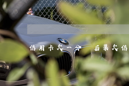 信用卡欠一分錢后果(欠信用卡一萬會怎么樣)