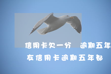 信用卡欠一分錢逾期五年(我一個(gè)朋友信用卡逾期五年都沒還)