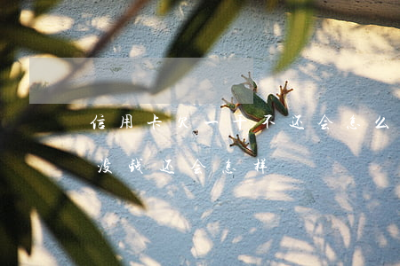 信用卡欠一千不还会怎么样(欠信用卡一百万没钱还会怎样)