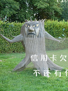 信用卡欠一千不还怎么办(信用卡欠不到一万不还有什么后果)