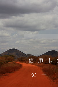 信用卡欠一千块年费不还会怎么样-信用卡欠一千块年费不还会怎么样吗